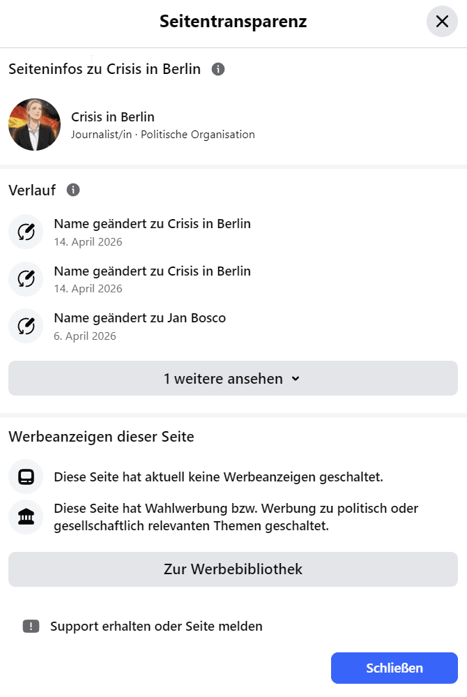 Warum AfD-Storys mit Alice Weidel so perfekt wirken