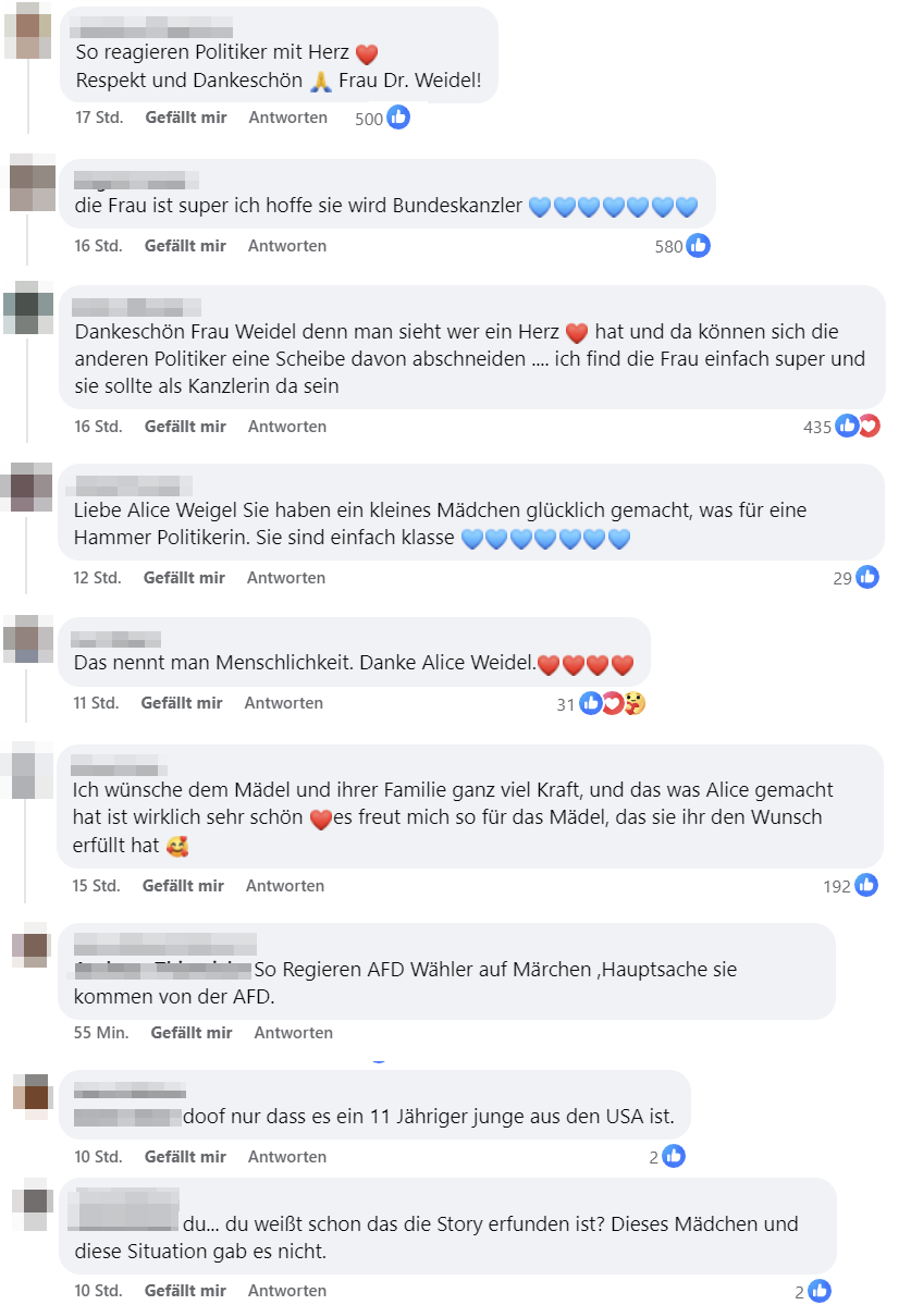 Warum AfD-Storys mit Alice Weidel so perfekt wirken