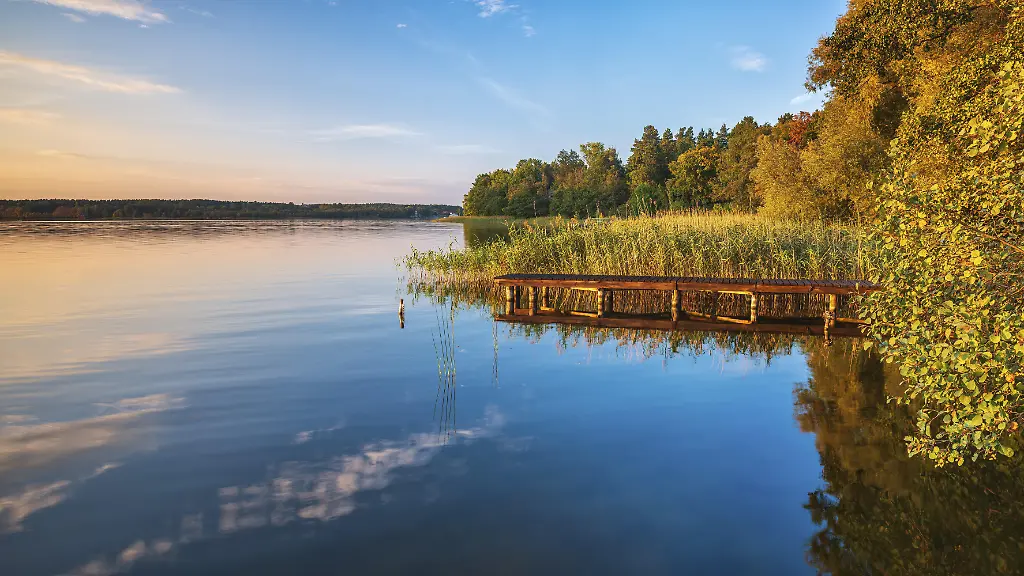 Abendstimmung-am-See-im-Herbst-Steg-im-Schilf-Grosser-Lychensee-Lychen-Uckermark-Brandenburg-Deutschland