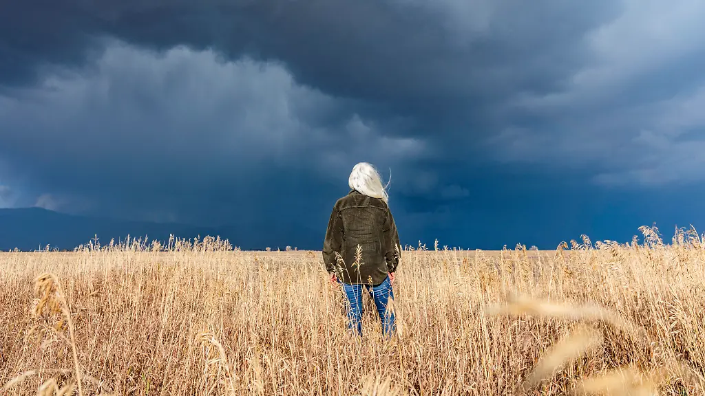 Rueckansicht-einer-Frau-die-im-Herbstgras-unter-stuermischem-Himmel-steht-Rear-view-of-woman-standing-in-fall-grasses-under-stormy-sky-Modellfreigabe-vorhanden