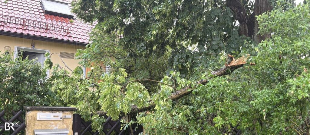 Unwetter in Bayern: Entwurzelte Bäume, umgeknickte Strommasten