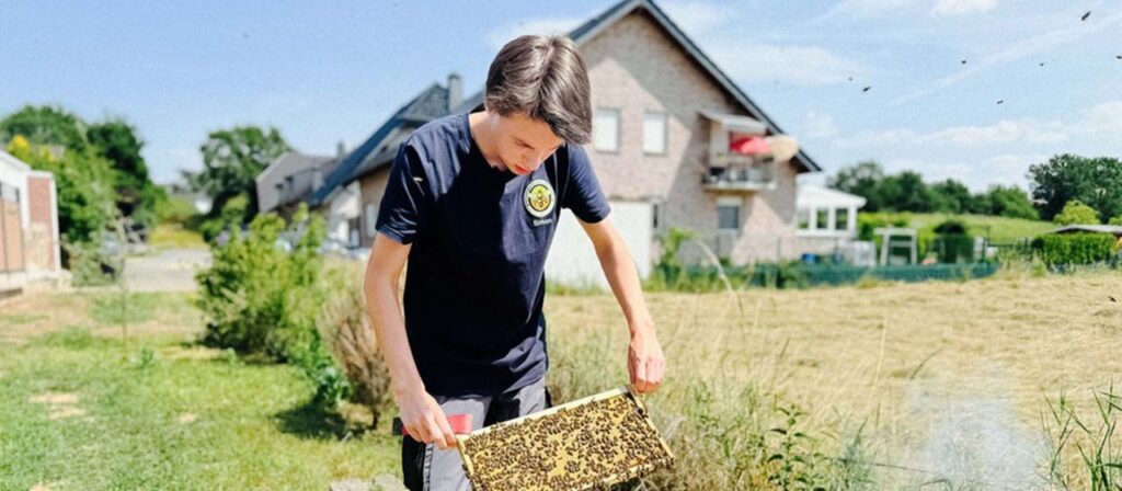 Honig aus Deutschland: Was junge Menschen für die Imkerei begeistert