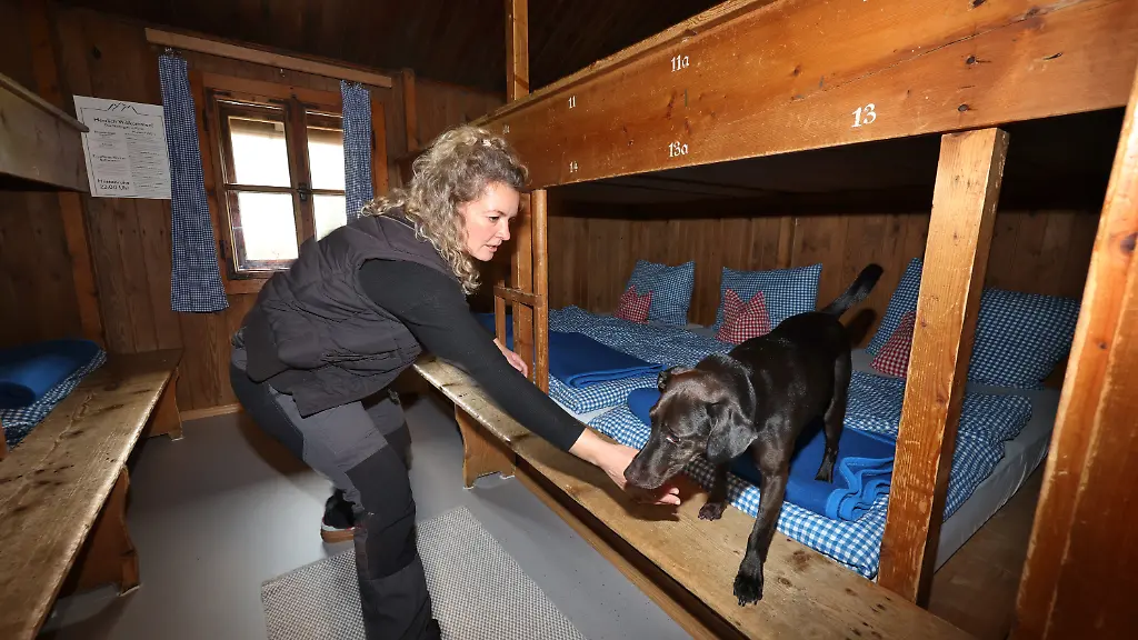 Mit Spürhund und Mikrowelle: Berghütten kämpfen gegen Bettwanzen