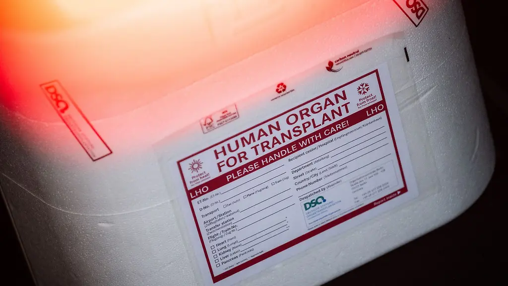 Spendenzahl wieder gestiegen: Organe bleiben in Deutschland Mangelware