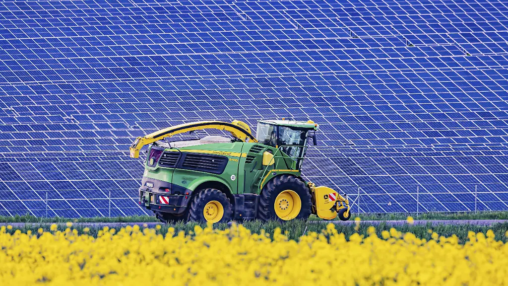 Photovoltaik-Freiflaechenanlage-in-Nellingen-auf-der-Schwaebische-Alb-mit-bluehendem-Rapsfeld-Feldhaecksler-der-Marke-John-Deere-9700i
