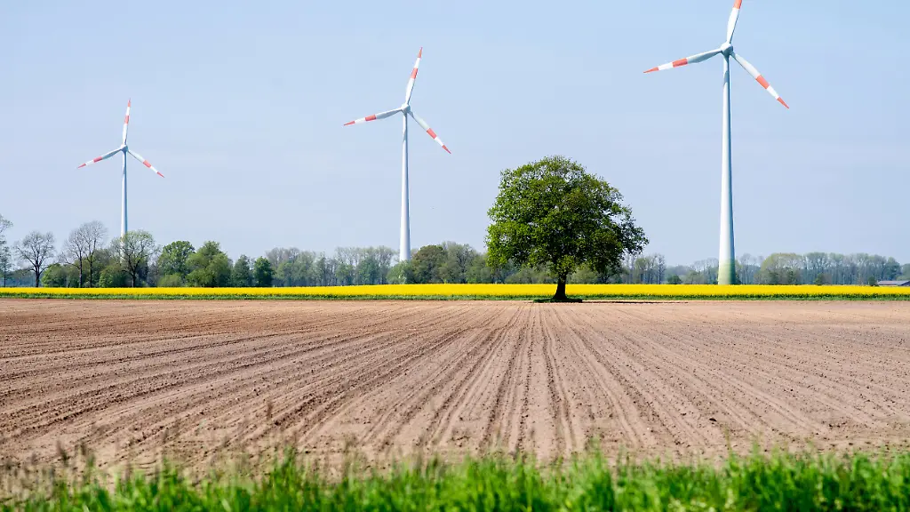 Windkraftanlagen-stehen-bei-sonnigem-Wetter-hinter-bluehendem-Raps-auf-einem-Feld-im-Landkreis-Vechta