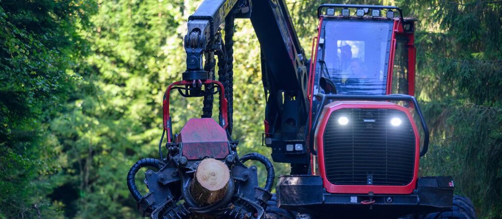 Der Wald als Klimaschützer und Rohstofflieferant