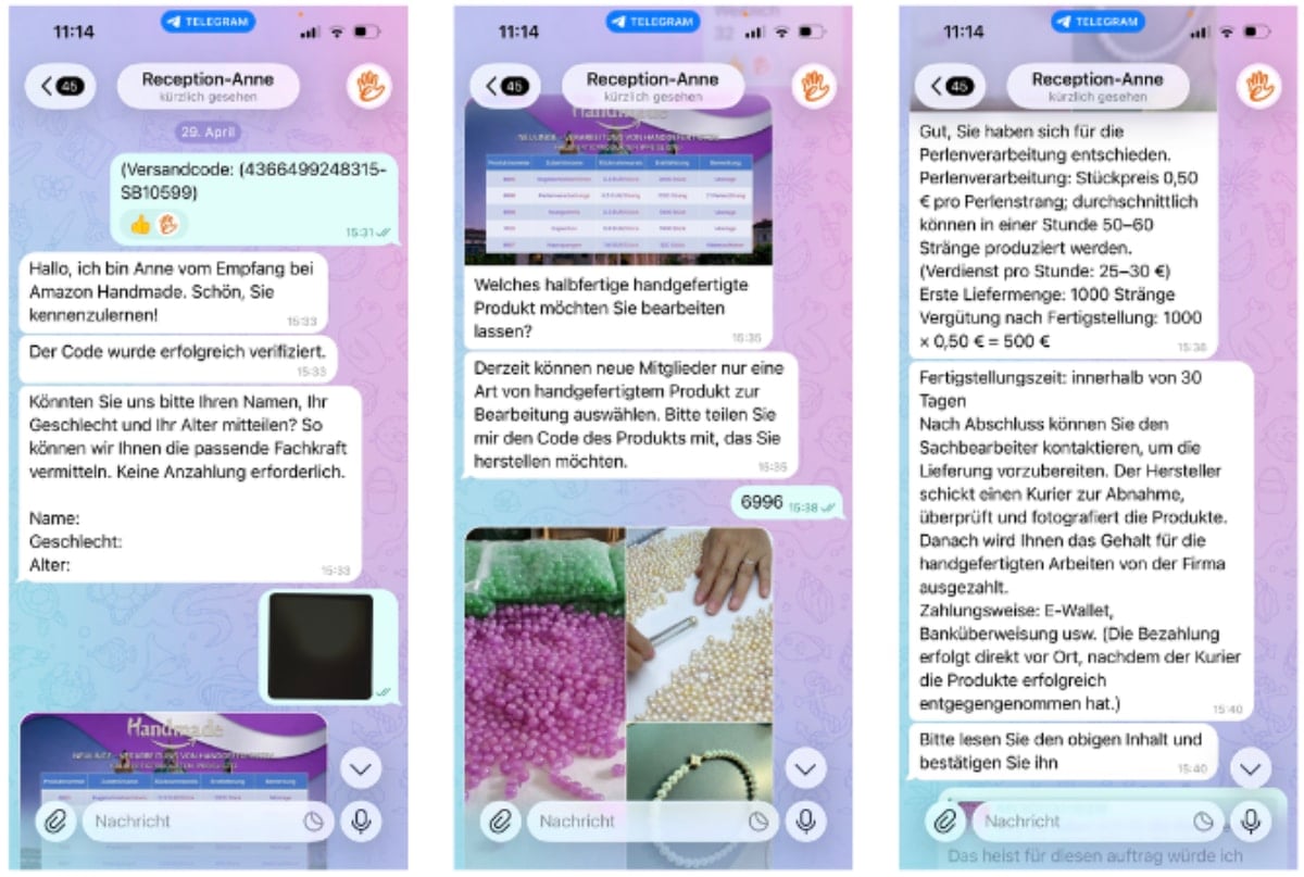 Telegram-Chat mit angeblicher Mitarbeiterin, die Heimarbeit anbietet und persönliche Daten sowie Projektauswahl abfragt. | Screenshot: Watchlist Internet