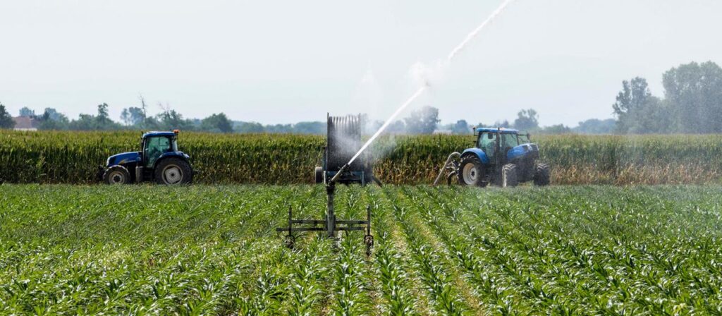 Erntehelfer in Italien: Ein tödliches System voller Ausbeutung