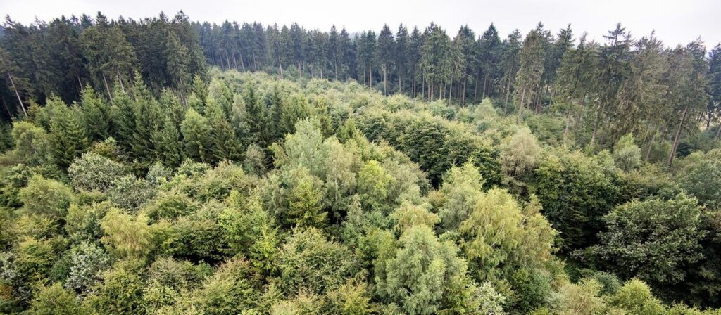 Internationaler Klimabericht: Aus der Luft muss mehr CO2 entnommen werden