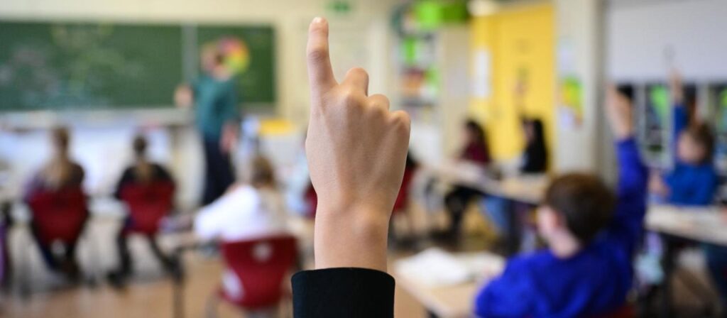 Pläne der AfD: Kann die AfD das Bildungssystem umkrempeln?