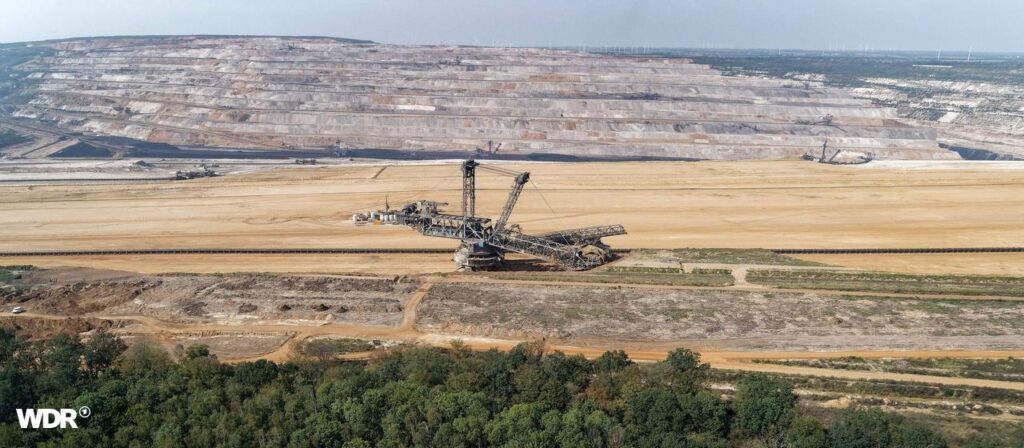 Hambacher Forst wird unter Naturschutz gestellt
