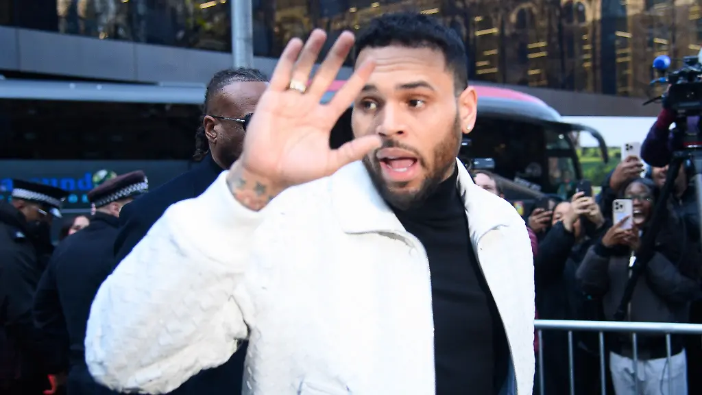 „Das Blut hat mich geschockt“: Rapper Chris Brown verliert Prozess um Hundebisse