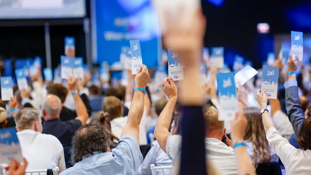 Weidel „findet das nicht gut“: Gewaltvorwurf, Drohungen und Mittelfinger bei AfD-Parteitag in NRW