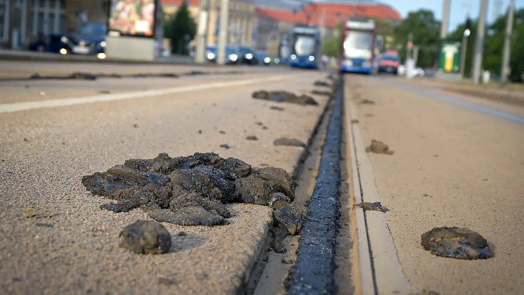 Durch-anhaltende-grosse-Hitze-mit-Temperaturen-von-ueber-40-Grad-kam-es-in-Leipzig-zu-erheblichen-Schaeden-an-der-Strassenbahn-Infrastruktur-Neben-den-Gleisen-verfluessigte-sich-das-Bitumen-wurde-durch-vorbeifahrende-Bahnen-herausgedrueckt-und-beeintraechtigte-die-Stabilitaet-der-Trasse-wie-hier-am-Troedlinring-In-weiten-Teilen-der-Stadt-war-daraufhin-kein-Strassenbahnverkehr-mehr-moeglich