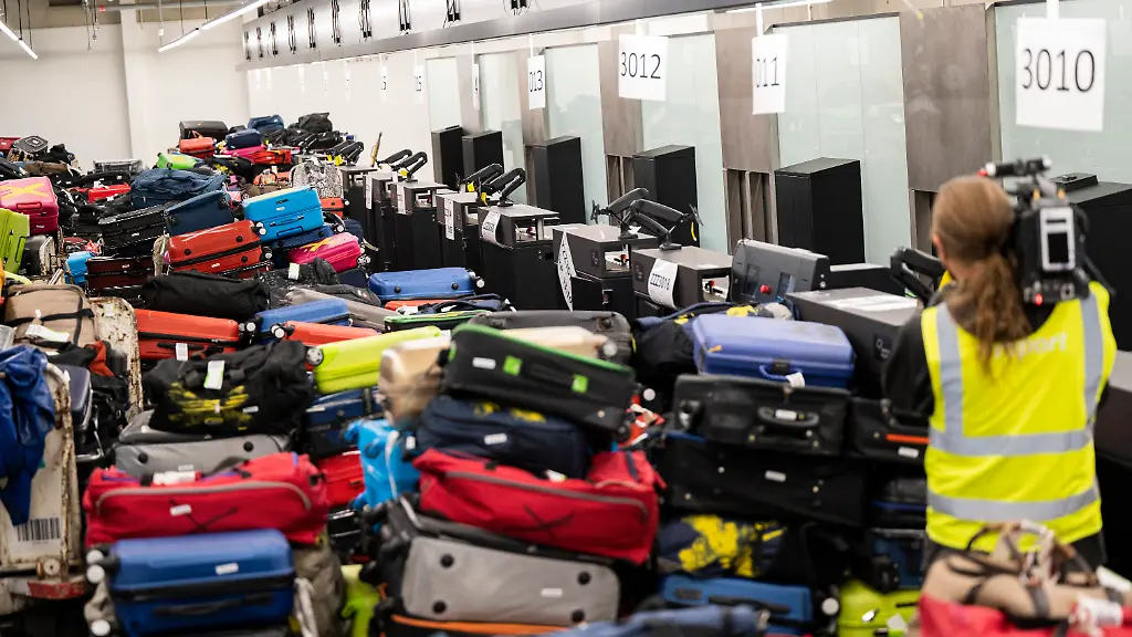 Vier Betroffene in Frankfurt: Mitgereiste Mücke infiziert Airport-Mitarbeiter mit Malaria
