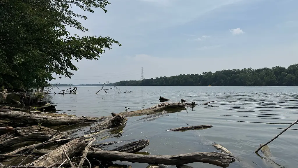 Unfall im Scioto River in USA: Fünf Menschen sterben bei missglücktem Rettungsversuch aus Fluss