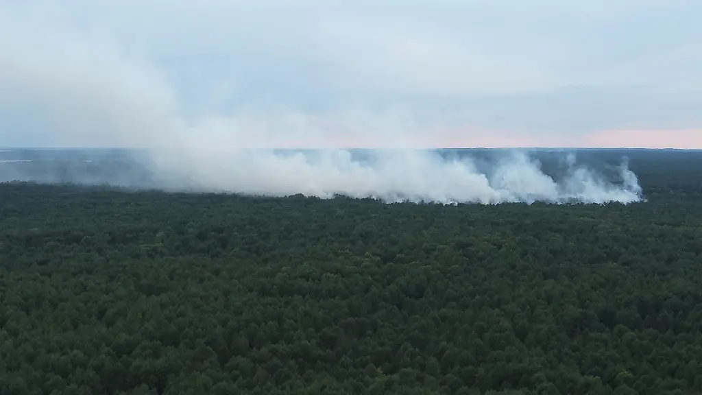 Einsatzkräfte hoffen auf Regen: Evakuierungen wegen Waldbrand im Müritz-Nationalpark