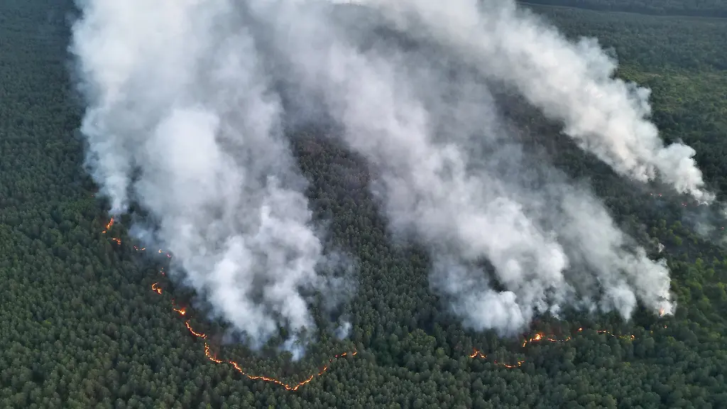 Auf munitionsbelastetem Terrain: Feuerwehr bekommt Brand im Müritz-Nationalpark nicht eingedämmt