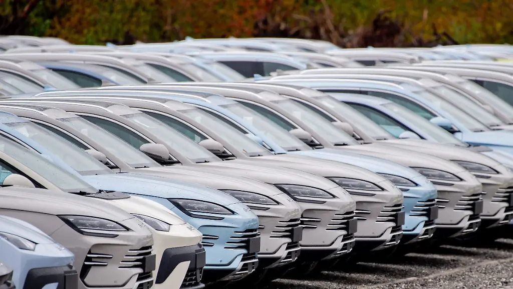 Zahlreiche-neue-Elektrofahrzeuge-von-Byd-stehen-auf-einem-Parkplatz-im-Hafengebiet