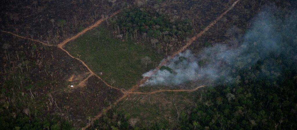 Waldbrände im Amazonas 2025 auf tiefstem Stand seit Jahrzehnten