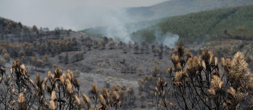 Spanien: Großer Waldbrand bei Madrid außer Kontrolle
