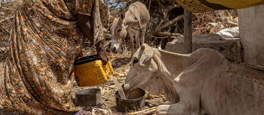 UN-Report: Kleine Fortschritte, doch der Hunger bleibt