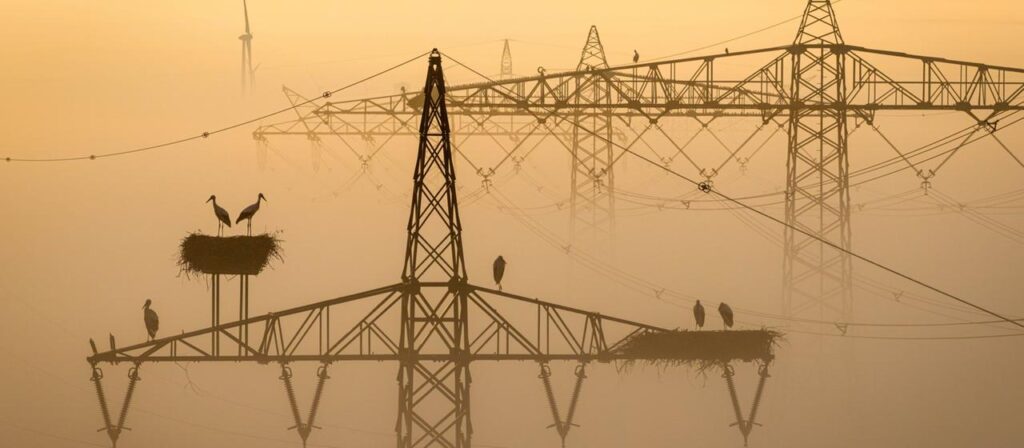 Chance auf Schadensersatz für Zehntausende Energiekunden