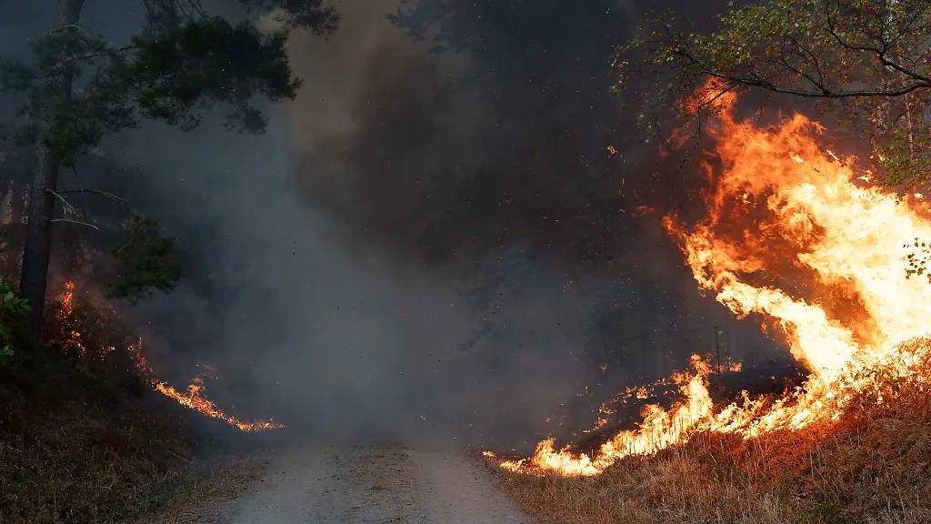 Große Brände im Überblick: Wenn Deutschlands Wälder in Flammen stehen