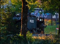 Motiv ist noch unklar: Täter nach Todesschüssen bei Rave-Event in der Schweiz weiter flüchtig