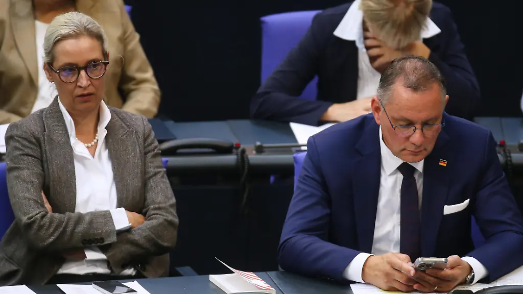 „Handeln, bevor es zu spät ist“: Über 1000 Juristen fordern Verbotsfahren gegen die AfD