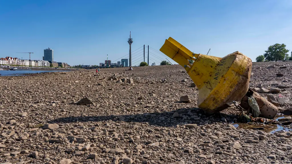 Boje-auf-Grund-Skyline-mit-Rheinturm-und-Rheinkniebruecke-Rhein-bei-Duesseldorf-extremes-Niedrigwasser-Rheinpegel-bei-31-cm-Tendenz-fallend-nach-der-langen-Duerre-faellt-das-linke-Rheinufer-bei-Duesseldorf-Oberkassel-trocken-eine-grosse-Sandbank-entsteht-Frachtschiffe-koennen-nur-noch-mit-deutlich-reduzierter-Ladung-fahren-Skyline-der-City-Oberkassler-Rheinbruecke-NRW-Deutschland-Niedrigwasser-Rhein-Buoy-aground-skyline-featuring-the-Rhine-Tower-and-the-Rheinknie-Bridge-the-Rhine-near-Duesseldorf-extremely-low-water-levels-Rhine-water-level-at-31-cm-trending-downward-following-the-long-drought-the-left-bank-of-the-Rhine-near-Duesseldorf-Oberkassel-has-dried-up-a-large-sandbar-has-formed-cargo-ships-can-now-only-sail