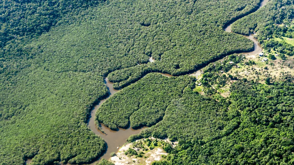Lula will keine Entwaldung mehr: Brasilien fährt Amazonas-Rodungen auf Zehn-Jahres-Tief zurück