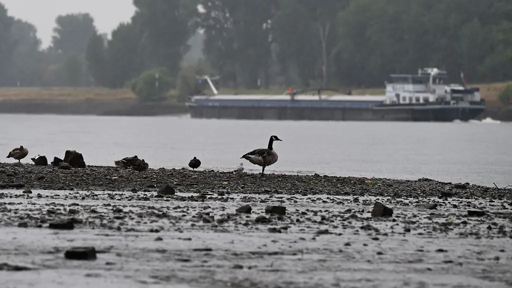 Nach einstelligen Werten: Wasserstand im Rhein steigt leicht an