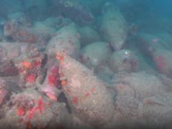 2100 Jahre alt: Fischer entdeckt in Sizilien Schiffswrack aus Römerzeit