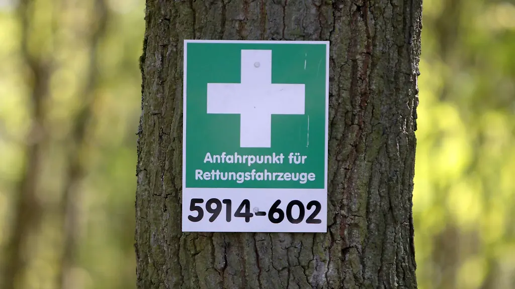 Feuer in Deutschland: Wenn der Wald brennt: die wichtigsten Verhaltensregeln
