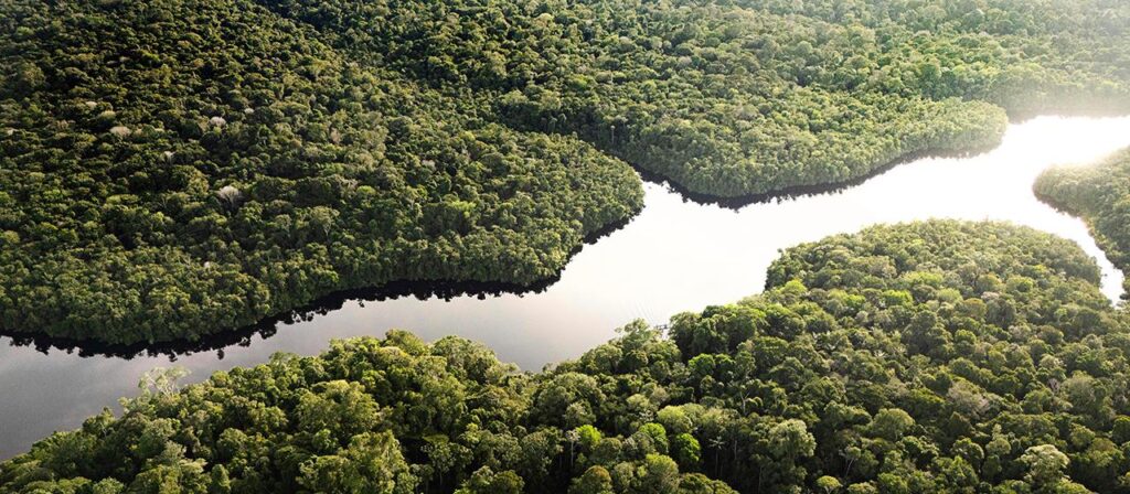 Brasilien: Abholzung im Amazonas auf Zehnjahrestief