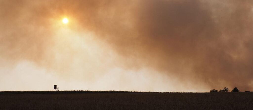 Kampf gegen die Flammen im Hürtgenwald
