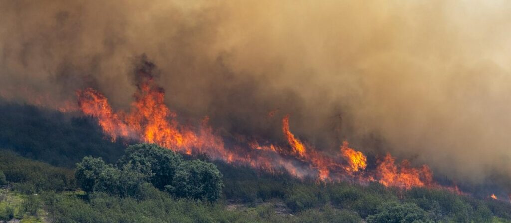 Warum Landflucht die Waldbrandgefahr erhöhen kann