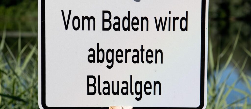 Norddeutschland: Behörden warnen Badende vor Blaualgen