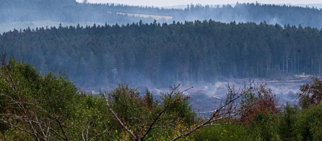 Feuer in Naturschutzgebiet: Erster Verdacht zur Brandursache im Hohen Venn