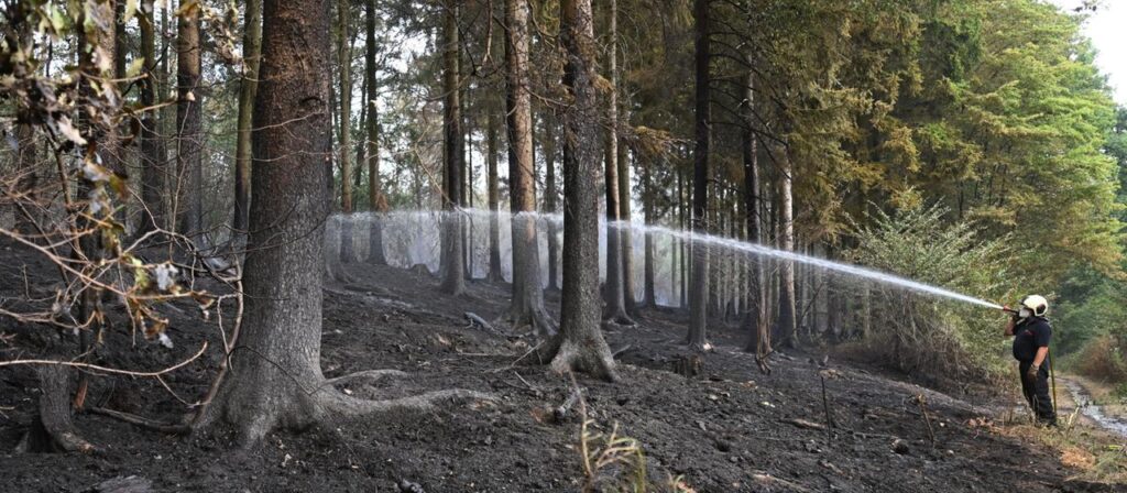 Gemeinde Hürtgenwald hofft auf den Regen – Merz dankt Helfern