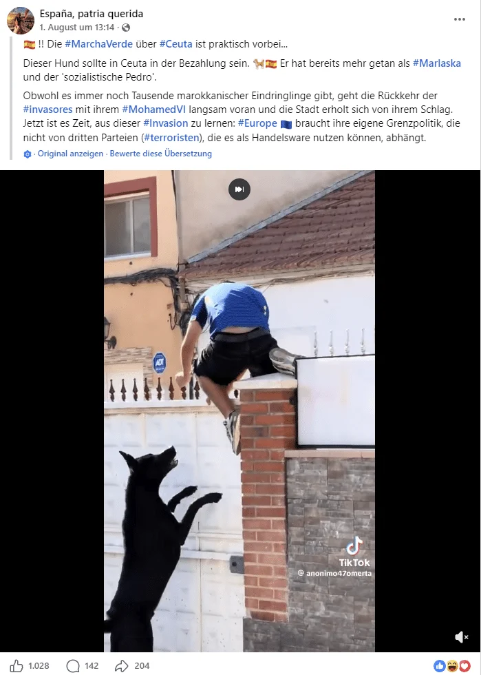 Videostandbild eines Hundes vor einem Hauseingang; die Szene wurde als Scherzvideo veröffentlicht.
