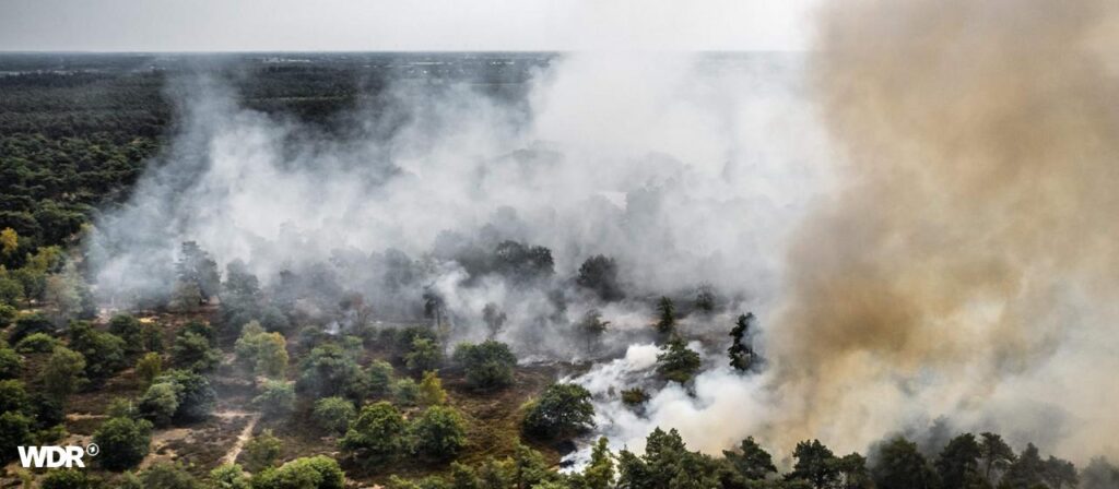 Waldbrand in den Niederlanden – Warnung vor Brandrauch in NRW