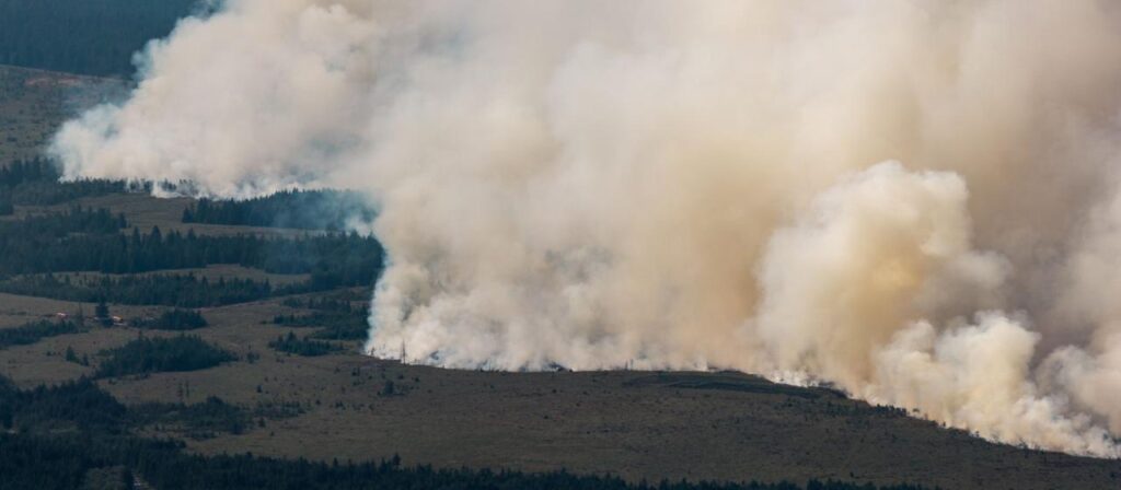 Waldbrand im Hohen Venn: Aktuell keine Evakuierungen in Monschau geplant