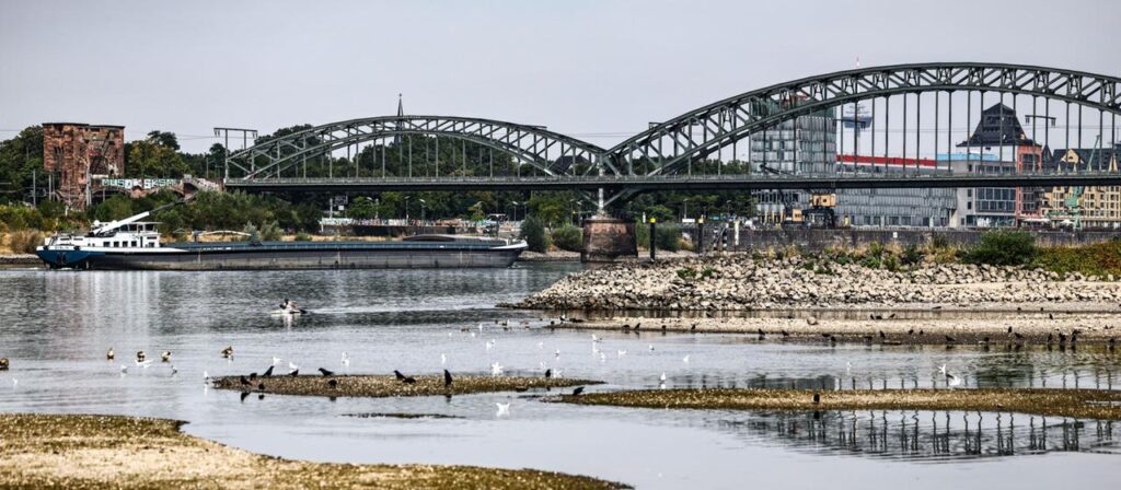 Niedrigwassser am Rhein: Bilger lädt zu Krisentreffen