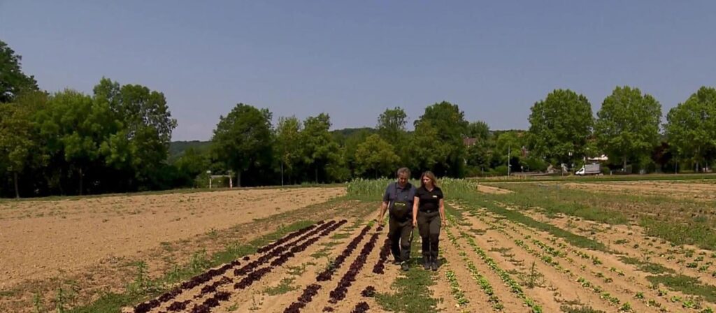 Einschränkungen bei der Bewässerung bedrohen Ernten von Landwirten