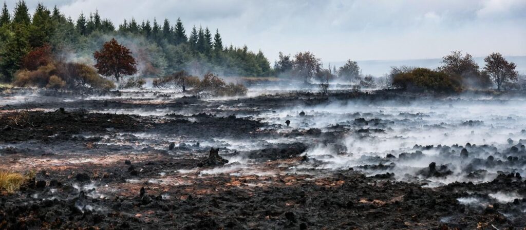 „Zombiefeuer“: Wie gefährlich sind diese wiederkehrenden Feuer?