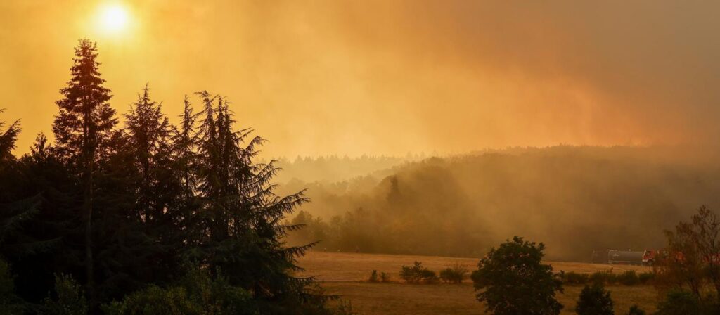 Wie Waldbrände künftig mit weniger Wasser bekämpft werden können