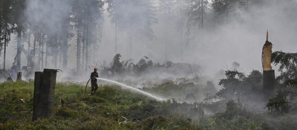 Waldbrand in Belgien weiter nicht unter Kontrolle – Hoffnung auf Regen